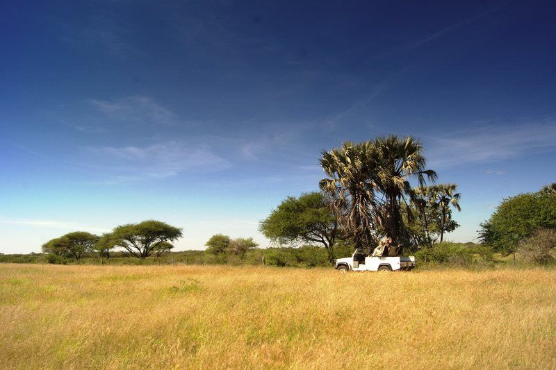 فندق Dornhuegel Guestfarm Grootfontein المظهر الخارجي الصورة