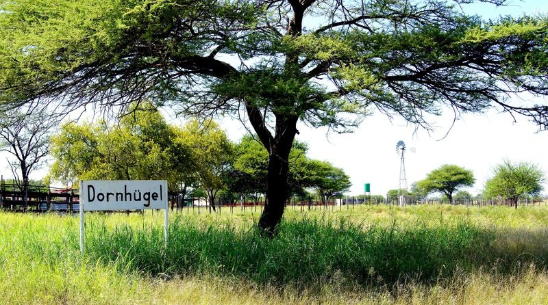 فندق Dornhuegel Guestfarm Grootfontein المظهر الخارجي الصورة