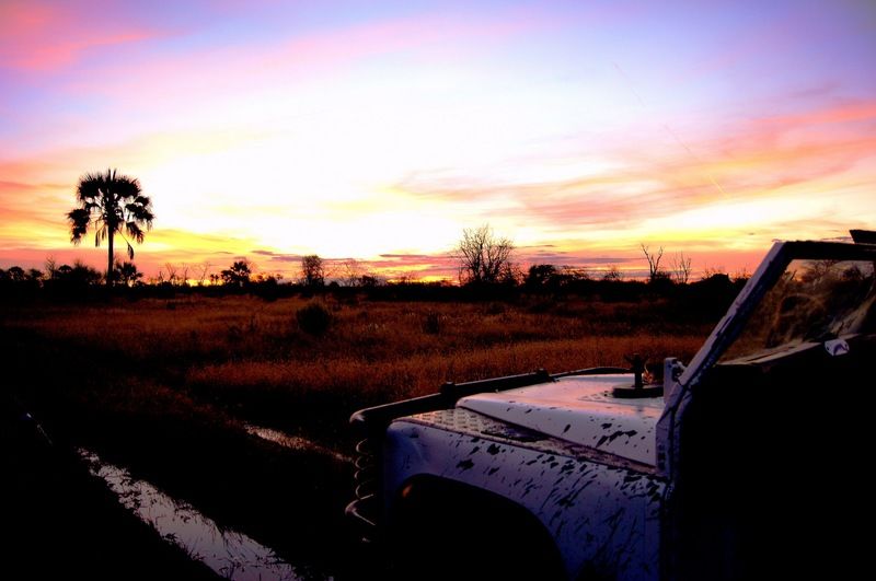 فندق Dornhuegel Guestfarm Grootfontein المظهر الخارجي الصورة