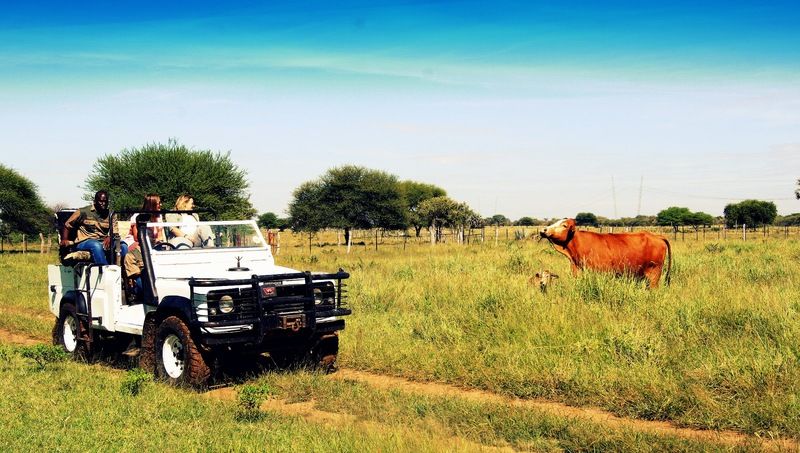 فندق Dornhuegel Guestfarm Grootfontein المظهر الخارجي الصورة