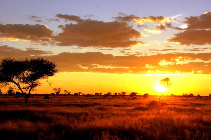 فندق Dornhuegel Guestfarm Grootfontein المظهر الخارجي الصورة